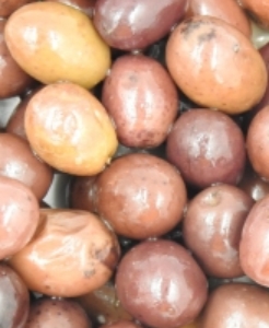 Oliwki Leccino 5KG