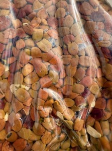 OLIVE NERE LECCINO DEN. ALL' AGLIO g 1900 CASTELLINO